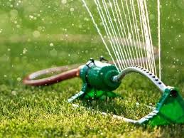 When is best time to water lawn? How And When To Water Your Lawn Love The Garden