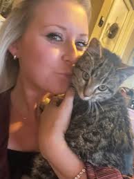 How to find a forever home for a stray kitten in Memphis area?