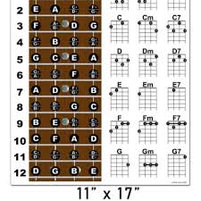 Baritone Ukulele Fretboard Notes And Chord Chart Poster