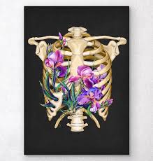 Huge collection, amazing choice, 100+ million high quality, affordable rf and rm images. Floral Rib Cage Anatomy Art Print Codex Anatomicus