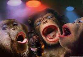 free download funny monkey pictures for kids 2 high definition widescreen 1200x818 for your desktop mobile tablet explore 74 funny monkey pictures wallpapers wallpaper of monkeys funny monkey wallpaper funny monkey pictures wallpapers