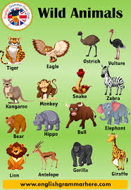 Listen and write the numbers id: 10 Wild Animals Name Wild Animals In English English Grammar Here