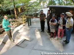 The mystery spot is an outside venue under the beautiful santa cruz redwoods, and we encourage you to come spend some time with us this summer! Santa Cruz Mystery Spot Santa Cruz California