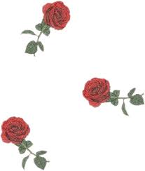 Aesthetic png collections download alot of images for aesthetic download free with high quality for designers. Download Roses Rosa Flor Flower Drawingflowers Tumblr Aesthetic Wallpaper Full Size Png Image Pngkit