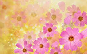 Beautiful Spring Flowers Background Widescreen Wallpapers Wallpaper Flower Backgrounds Flower Background Wallpaper Spring Flowers Background