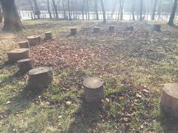 Alle gewöhnen sich schnell an ihn. Garten Vinzigarten16