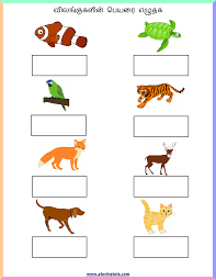 There are multiple worksheets available for you to download under each concept. Pin By Karunatunga Welikala On Education Lkg Worksheets 2nd Grade Worksheets English Worksheets For Kindergarten