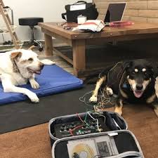 We did not find results for: Bird Pet Clinic 30 Photos 131 Reviews Pet Stores 3985 Foothills Blvd Roseville Ca United States Phone Number