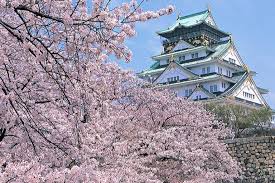 As with many castles in japan however, it was destroyed and the structure that stands now was built in 1931 and has also been renovated over the. Things To Do In Osaka Japan Enchanting Travels