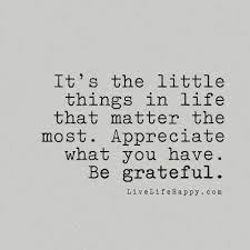  It S The Little Things In Life That Matter The Most Appreciate What You Have Be Grateful Appreciate Life Quotes Matter Quotes Love Life Quotes