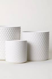 Small Stoneware Plant Pot White Home All H M Us Small Potted Plants White Flower Pot Large Plant Pots