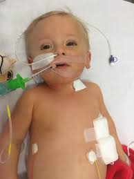 Harriet Cobb (@Harriet_Loomes)