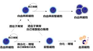 快醒醒，英雄。 距游戏首次公布的八年后， 《赛博朋克2077》终于正式和大家见面了。 进入夜之城的钥匙现在就握在你的手中。 是时候偷一波装备，寻一些刺激或是来一两场超梦体验了! ç½è¡ç Wikipedia