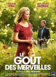 Le Gout Des Merveilles Le Gout Des Merveilles Film Francais Virginie Efira
