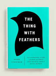 Book Covers Book Cover Design Book Series Covers Book Cover