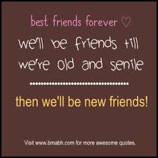 But it fell on her brother. Short Funny Friendship Quotes Sayings Only For Best Friends Friendship Quotes Funny Short Funny Friendship Quotes Friendship Quotes