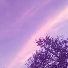 Purple aesthetic \\ last color of the rainbow !!( purple clothing , purple outfits , purple tumblr ) Aesthetic Pastel Purple Background Tumblr Cuteanimals