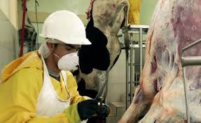 Avem 1.749 locuri de muncă vacante pentru locuri de munca brasov cu cazare disponibile pe oferte360.ro. AnunÅ£urile Pentru Locuri De MuncÄ In Abatoarele Din Germania Nu Sunt Ce Par A Fi Ce Ii AsteaptÄ Pe Romanii Care Merg In AfarÄ