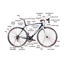 M M Cyclery Lake County Il Bike Shop Bikes And Cycling Accessories Road Bike Bike Ride Cycling Bikes