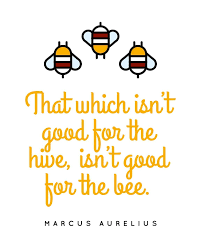 Part 3 marcus aurelius quotes about life happiness time philosophy love leadership ambition death anger tolerance truth religion obstacles. Amazon Com Marcus Aurelius Stoic Quote Bee Unframed Poster Or Print Handmade