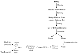 make a flow chart showing the conversion of wollen fibre