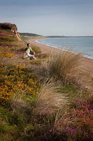 ✔ flora & fauna ✔ wij vertellen je alles wat de engelse natuur, en daarmee ook het landschap, is zeer divers. Oost Engeland Toeristische Informatie Direct Van Verkeersbureau