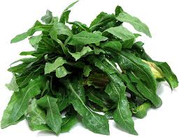 Wild Lettuce Information And Facts