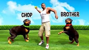 Darmowe tipsy i kody do gier. Meet Chop S Brother In Gta 5 Youtube