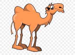They heavily inspire most of my work. Bactrian Camel Cartoon Clip Art Png 600x600px Bactrian Camel Animal Figure Animation Arabian Camel Art Download