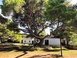 3,857 likes · 188 talking about this · 2,885 were here. Casa Di Garibaldi Caprera Gli Ultimi Anni Dell Eroe Dovevado Net