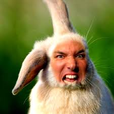 The Mary Tylerwhores