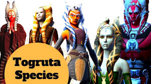 Shaak Ti Ahsoka Tano More Togruta Species Explained Star Wars Alien Species Creatures Lore Star Wars Species Clone Wars Ahsoka Star Wars Characters