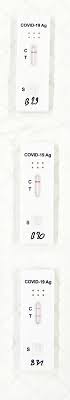 / item / lot no. Mobile Corona Schnelltest Teams Nh Dyeagnosticsnh Dyeagnostics