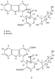 Image result for Strychnos mellodora