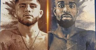 Bellator 235: Salute the Troops results