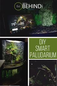 The Complete Guide To An Autonomous Diy Paludarium Bioactive Vivarium Beautiful Terrariums Aquascape Design
