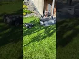 Customer Pics And Video Myrobohut Com Hubert Schnitzler In 2021 Lawn Flat Roof Lawn Mower