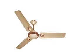 Check spelling or type a new query. Havells 56 Ceiling Fan Brown Ceiling Fans For Sale Best Price In Sri Lanka