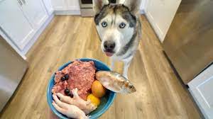 What Feeding Raw Breakfast Every Morning Looks Like With My Husky Youtube