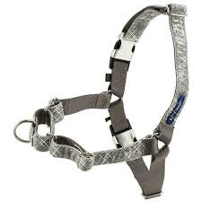 Bling Easy Walk Harness By Petsafe Grp Bewh