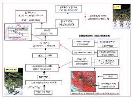 Flow Chart Showing Procedure Adopted For Lai Retrieval Of