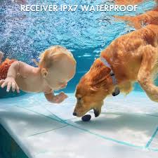 LOYPA Shock Collar for Dog with Remote, Rechargeable Dog Training Collar  with Beep, Vibration and Shock Modes, Waterproof Dog Bark Trainer E-Collar  for Small Puppy Large Dogs 3-150lbs and Other Pets: Buy