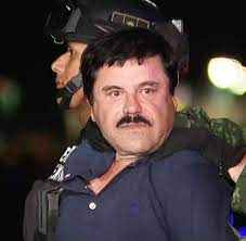 A look at the life of notorious drug kingpin, el chapo, from his early days in the 1980s working for the. Prozess Gegen El Chapo Kronzeuge Gibt Erstaunliche Einblicke In Drogenkartell Welt