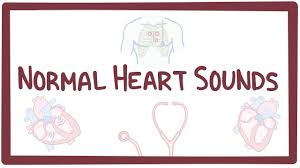 Normal Heart Sounds