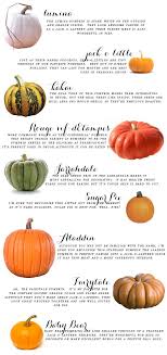 Your Ultimate Fall Pumpkin Guide Pumpkin Knowledge Fall