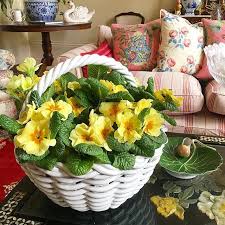 Happy Easter Primrose In My Ceramic Basket That Usually Doesn T Get Dragged Out Until Summer When It S Filled With Gera Happy Easter Primrose Table Decorations