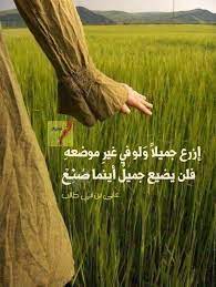 ازرع جميلا ولو في غير موضعه فلن يضيع جميل أينما صنع إن الجميل إذا طال الزمان به inspirational quotes image quotes spanish quotes