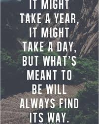 Profile for Patti DeMarco