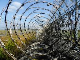 Search all of our inmates seeking someone to correspond with. True Freedom Pen Pal Program Plum Village