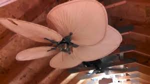 For over twenty years, the natural elegance and versatility of this. Fanimation Islander Ceiling Fan Model Fp320ab1 With Palm Leaf Blades Full Youtube